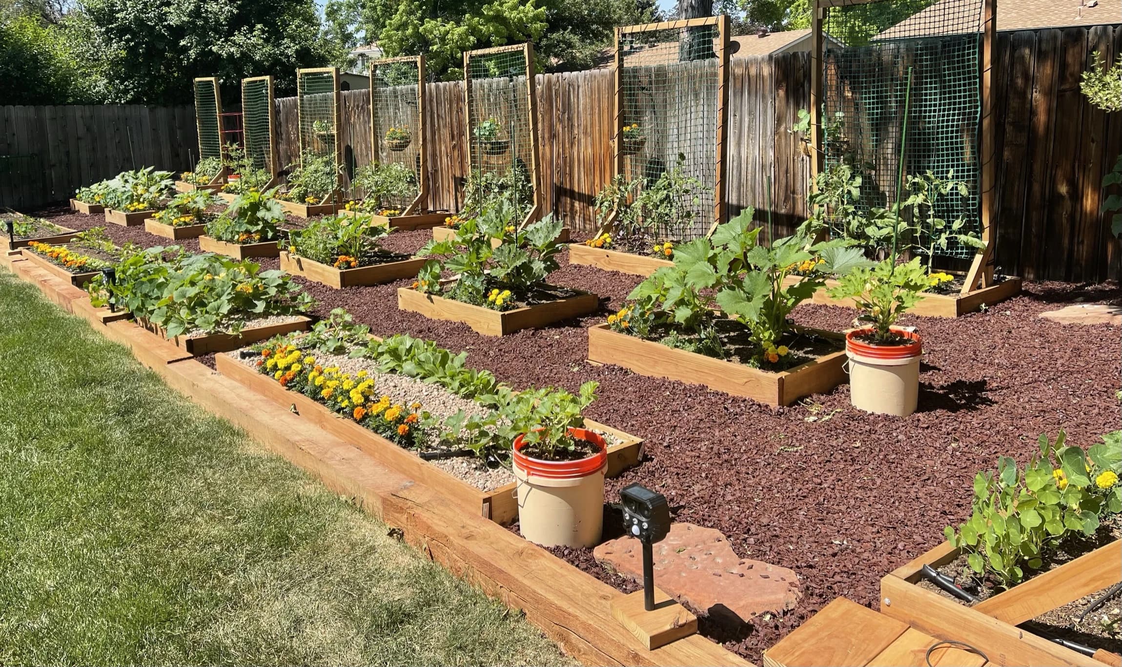 Raised beds in a Zone 5b Denver garden