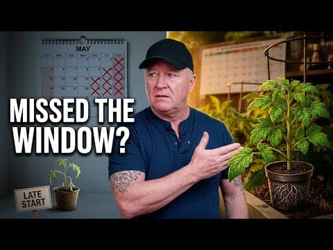 Tomato Seeds in May? You've Already Lost the Race